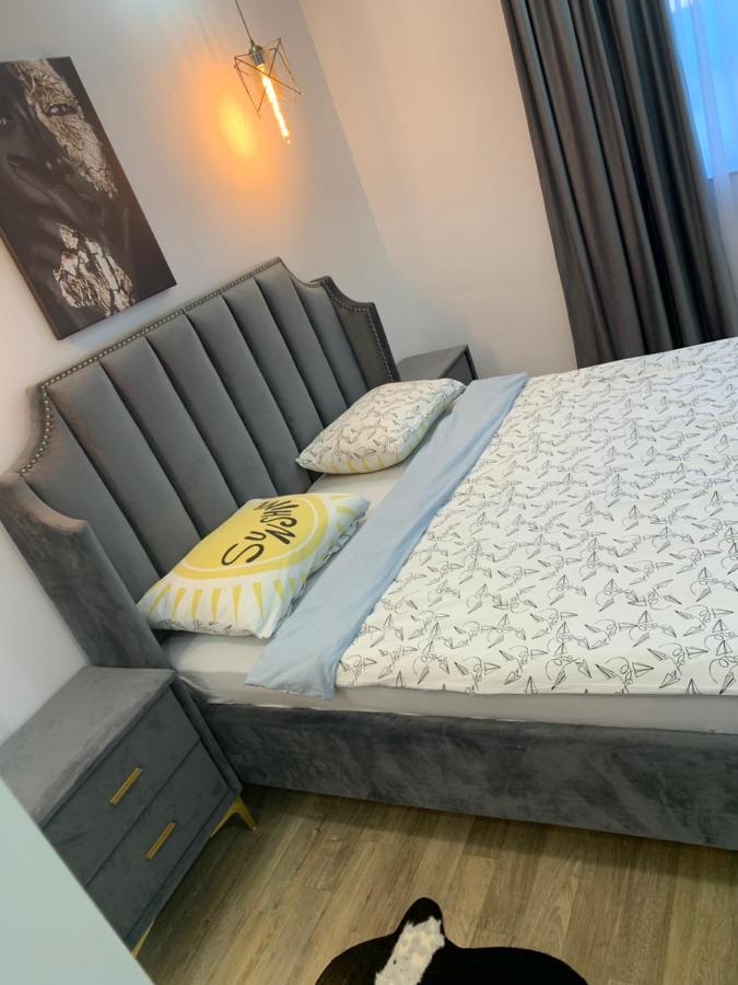 Raphael Apartment North Bucharest Cosmopolis Stefanestii de Jos Ngoại thất bức ảnh
